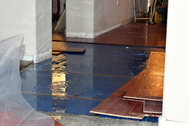 Professional Basement Flood Cleanup technician working in Bridgeport, TX